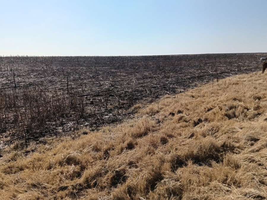 0 Bedroom Property for Sale in Heilbron Rural Free State